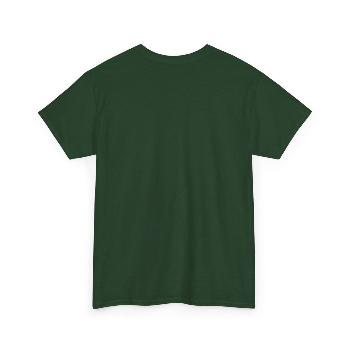 Funny Coffee Lover Unisex Heavy Cotton Tee – 'I AM NICE BUT First COFFEE THEN WE CAN TALK'