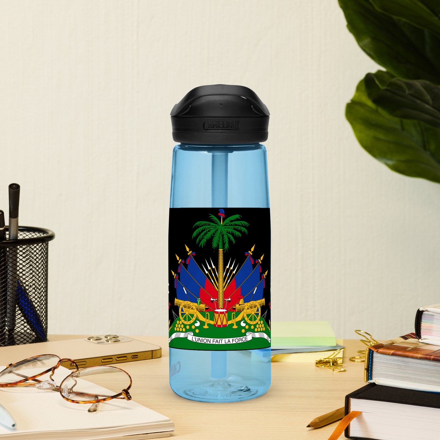 Haiti Sports water bottle