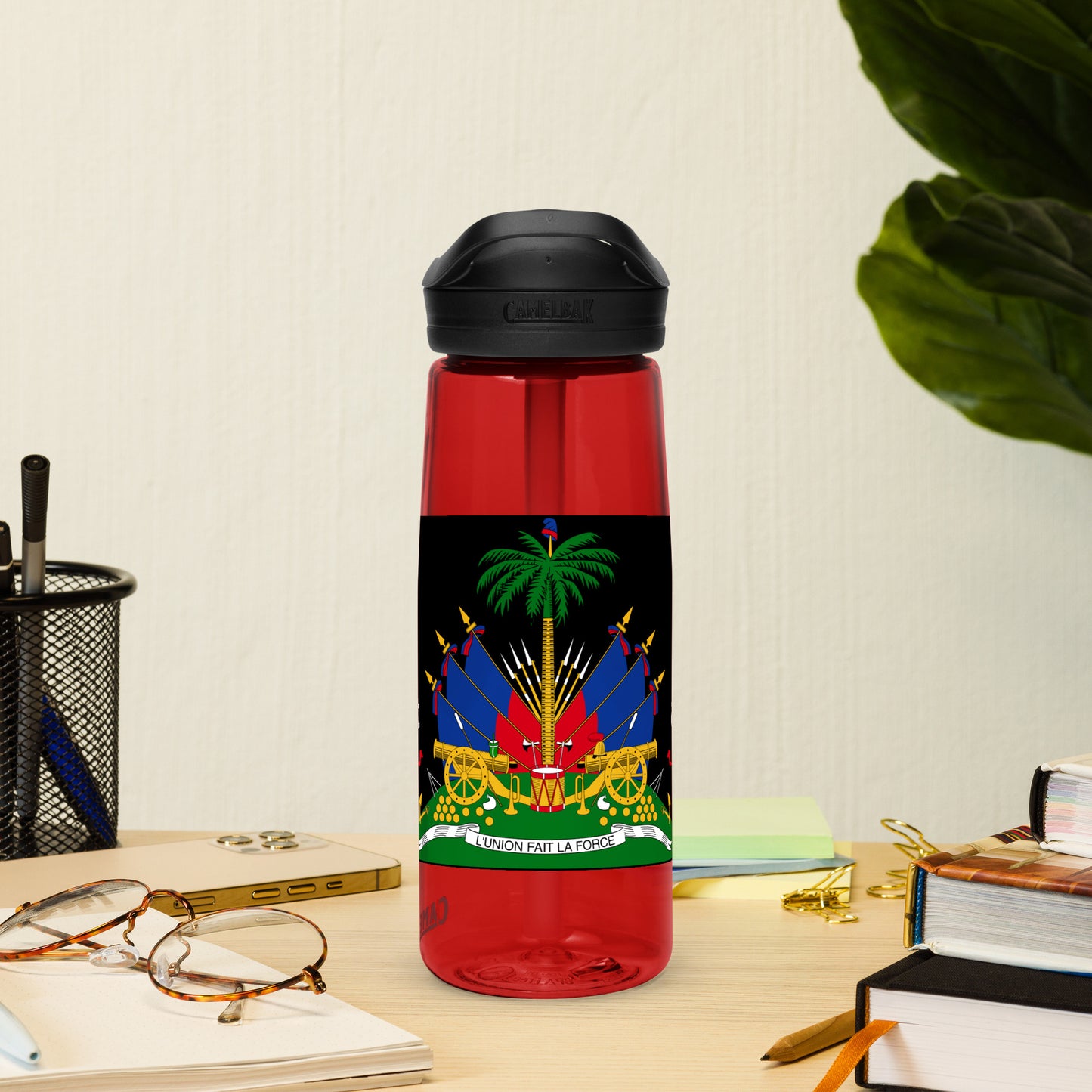 Haiti Sports water bottle