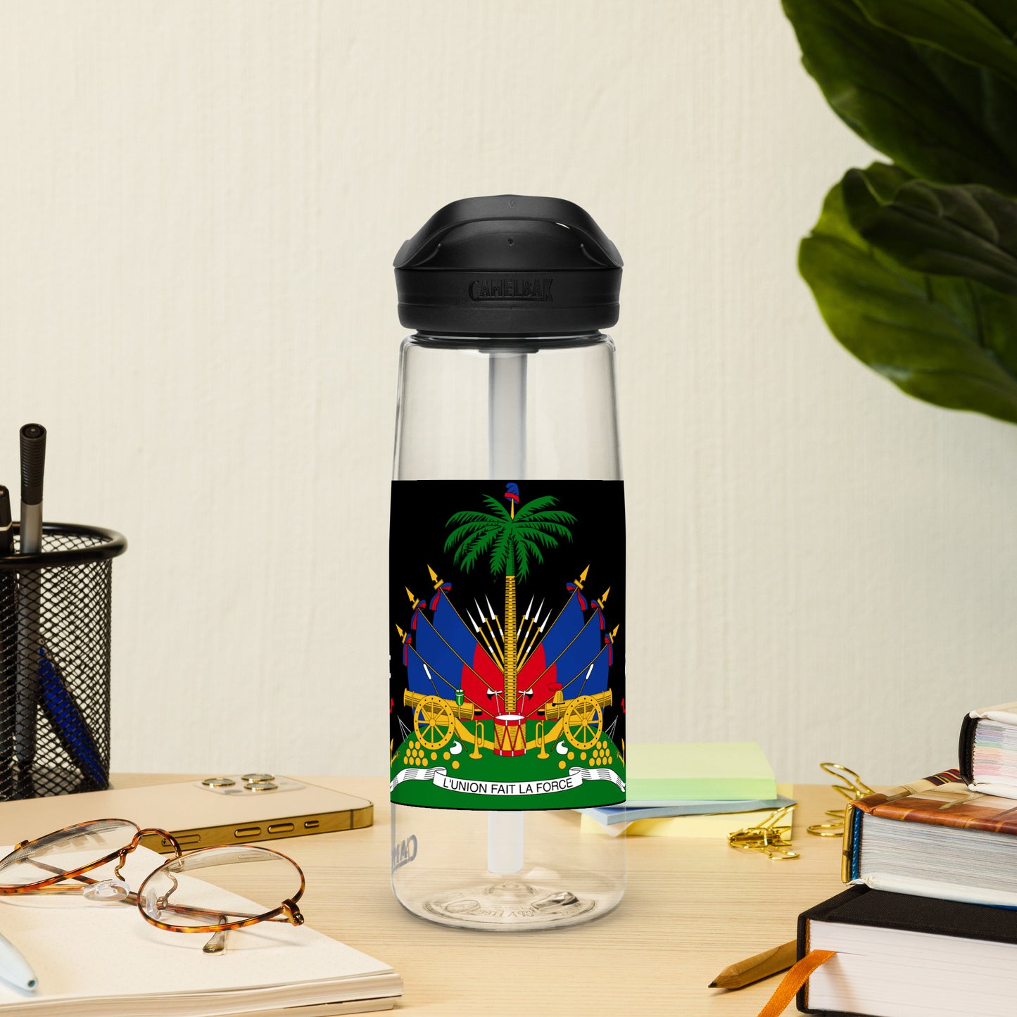 Haiti Sports water bottle