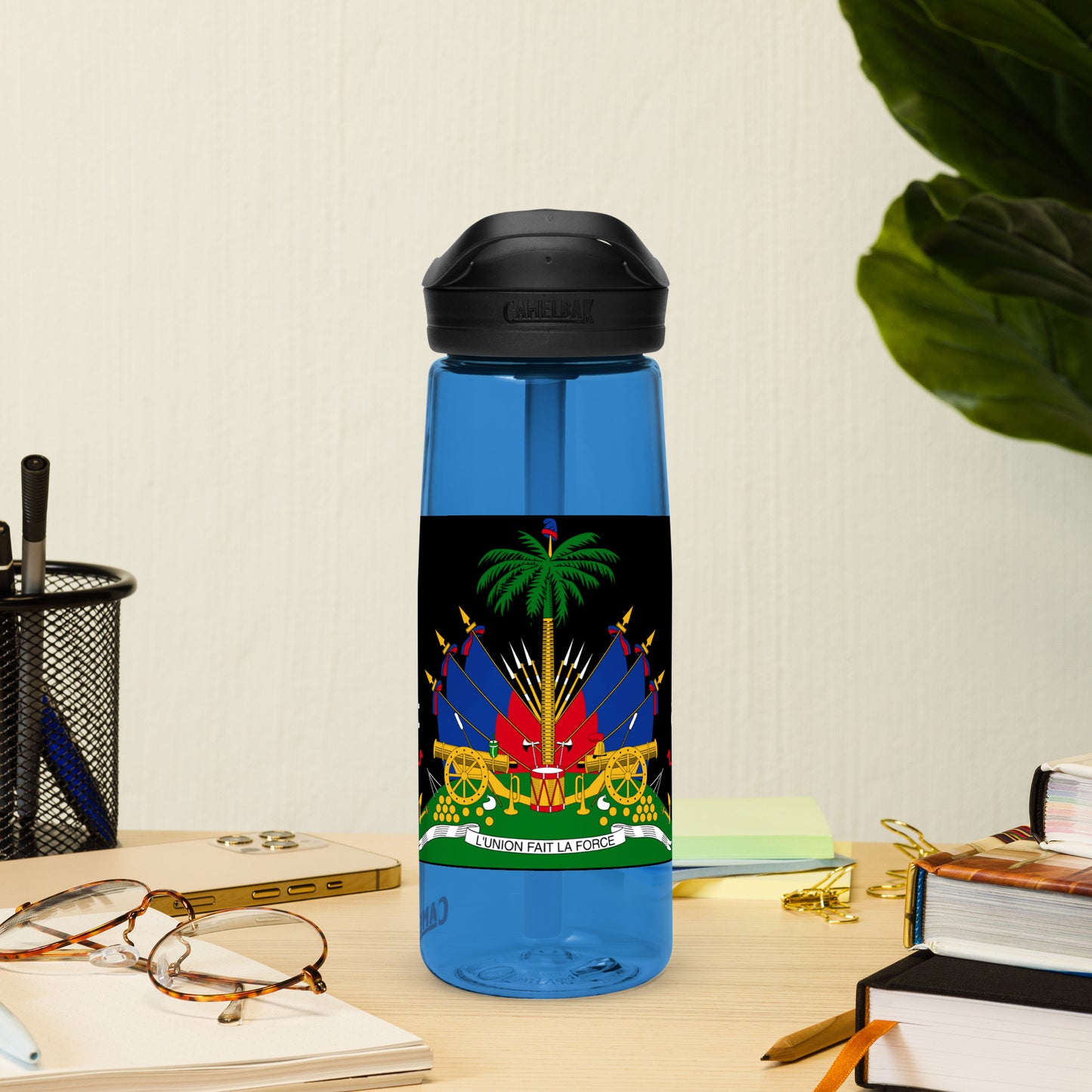 Haiti Sports water bottle